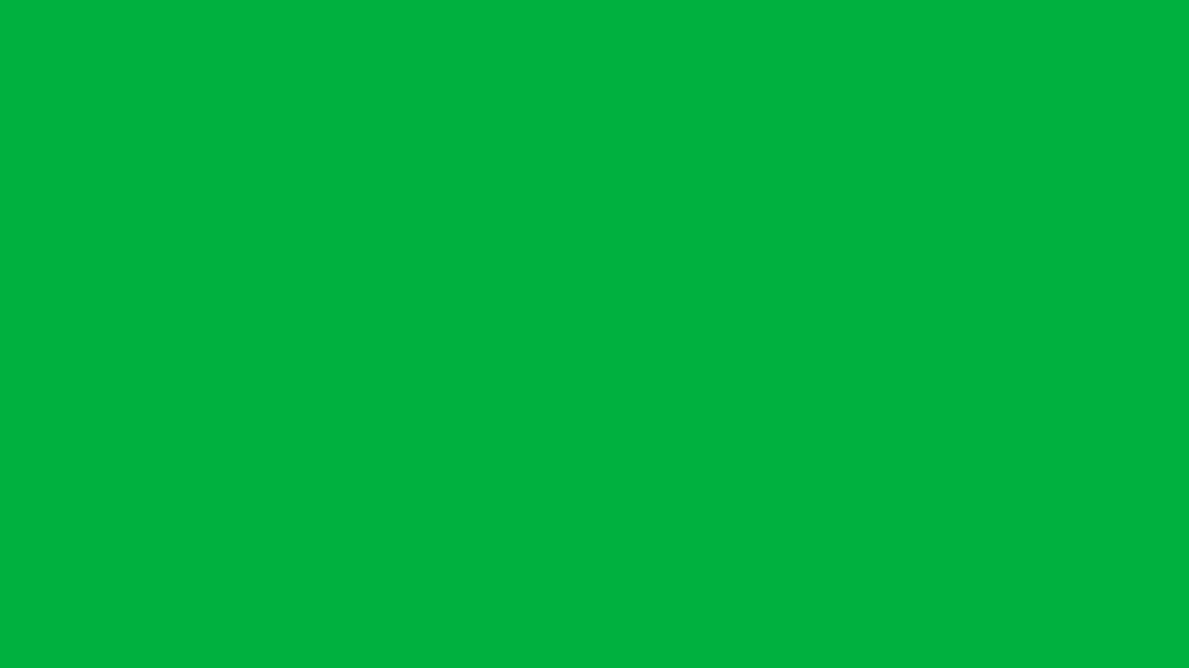 GREEN SCREEN