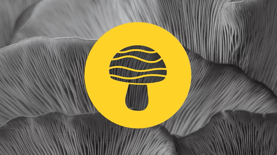 Currently Project Mushroom logo