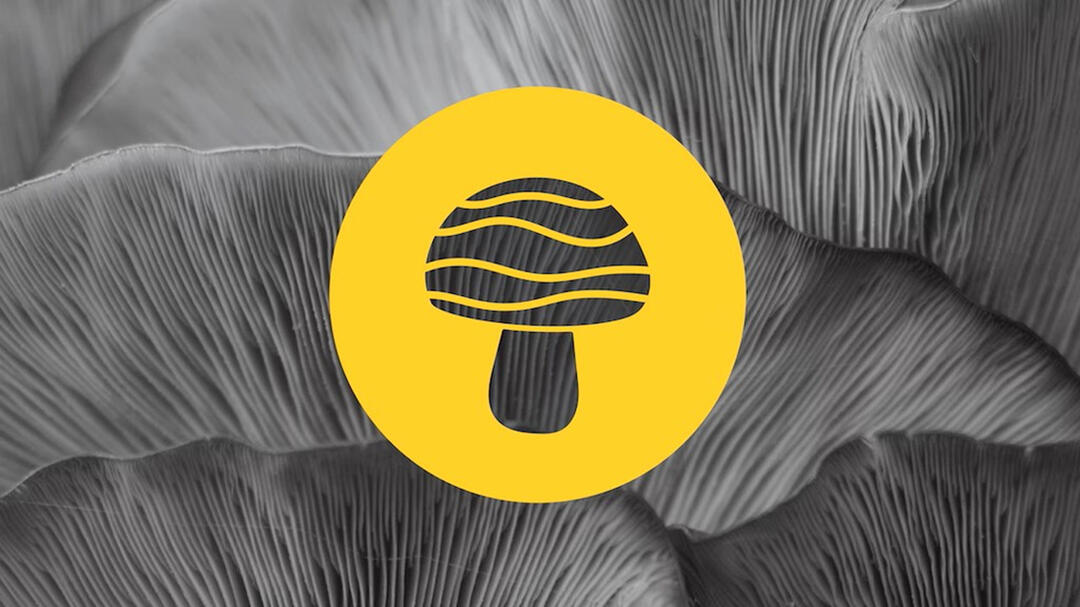 Currently Project Mushroom logo